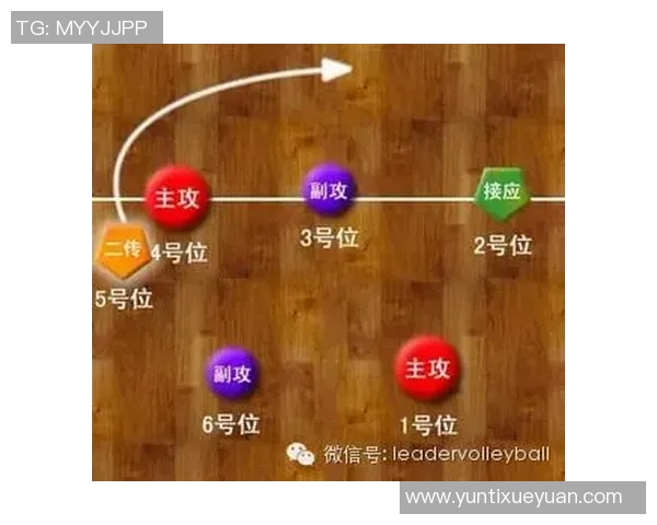 西安排球队快攻战术解析与实战应用探讨