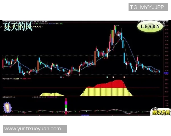 独家解析西安篮球队意识差异及其对比赛表现的影响分析